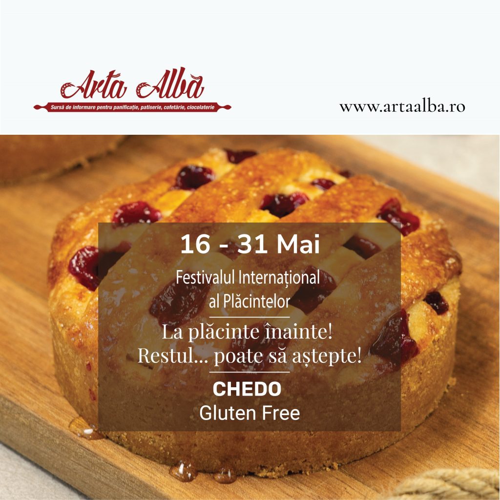 chedo insights template 2