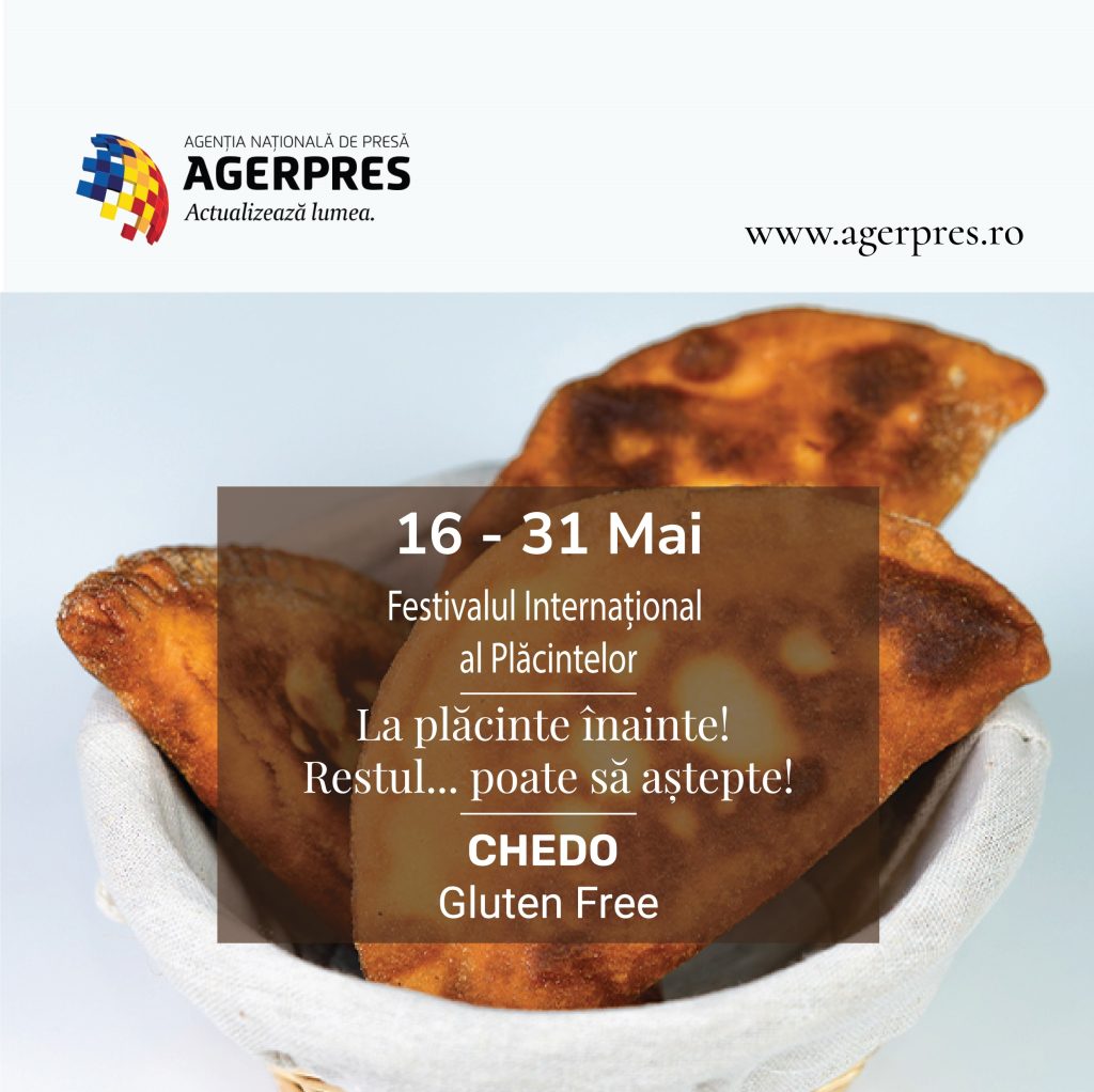 chedo insights template 2