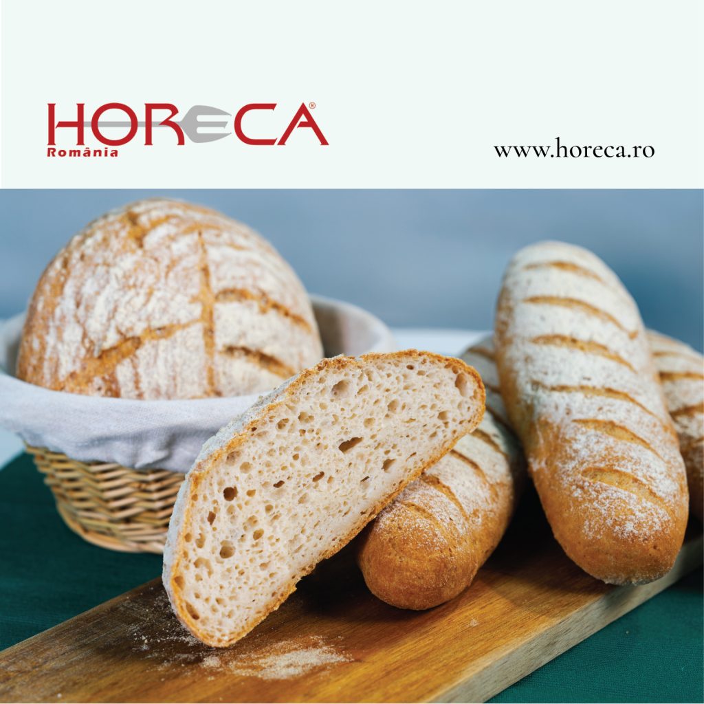 chedo insights brutărie